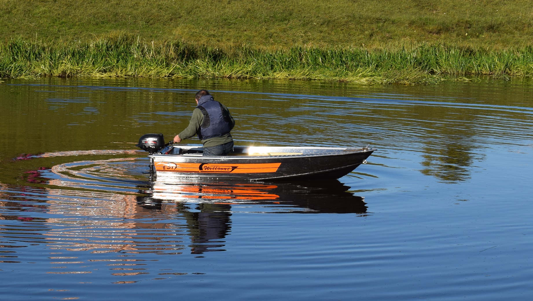 Wellboat-31 Wellboat-31