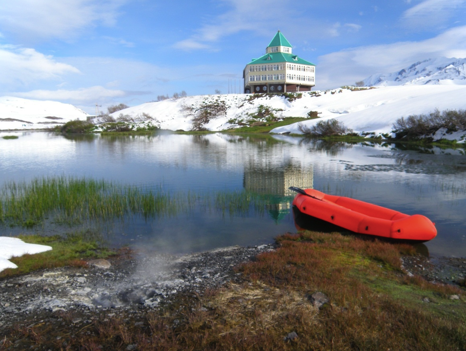 Иволга Стандартная